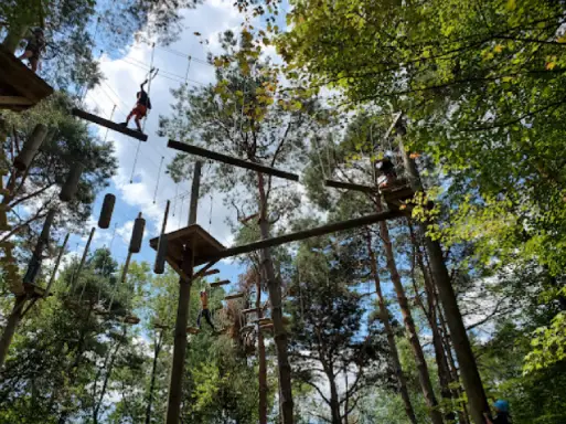 People move across a high ropes course, showing teamwork and adaptability, like Titan Plumbing & Drains solutions.