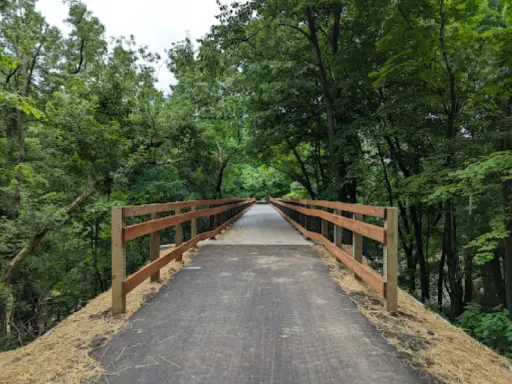 Titan Plumbing & Drains helps water move easily, just like a bridge lets people cross through the forest.