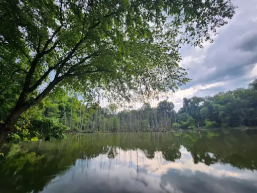This image shows a peaceful lake with green trees all around. It conveys a sense of calm and relaxation, much like the reliable service from Titan Plumbing & Drains in Ohio.