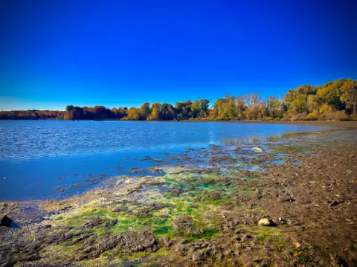 The image shows a peaceful lakeshore with signs of algae and nearby plumbing, suggesting Titan Plumbing & Drains serves the area.