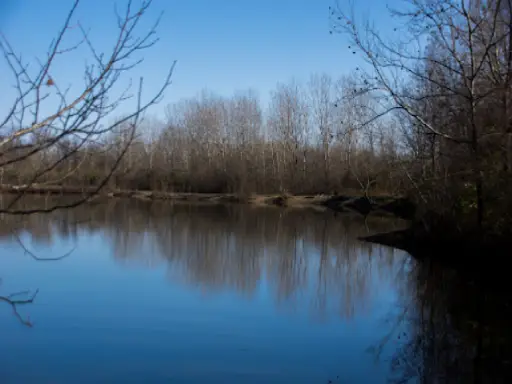 A peaceful river shows quiet and steady surroundings, like Titan Plumbing & Drains provides calm, dependable service. Alt text: Tranquil river scene shows stable and reliable help like Titan Plumbing & Drains offers.